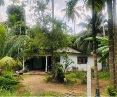 Land for Sale in Ganemulla