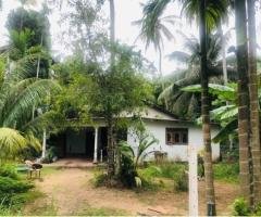 Land for Sale in Ganemulla