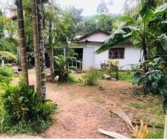 Land for Sale in Ganemulla