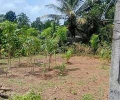 Land For Sale In Bokundara -Piliyandala