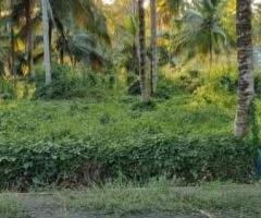 Land for Sale   in Narammala
