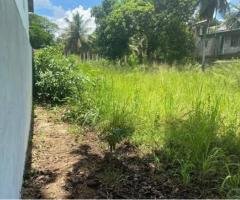 Land for Sale in Anuradapura