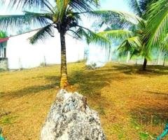 Bare Land for Sale in Horana