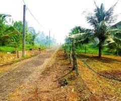 Bare Land for Sale in Horana