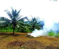Bare Land for Sale in Horana