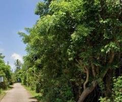 80 Perches  bare Land for Salle at Kaduruduwa- Panadura.
