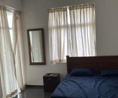 Furnished apartment for rent in Colombo 5