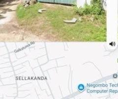 Two Houses for Sale in Katuvapitiya Negombo