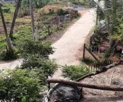 Two Houses for Sale in Katuvapitiya Negombo