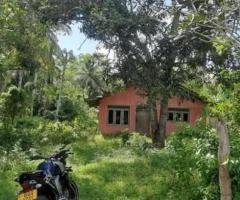 A land with 70 perches house for sale in Beliatta