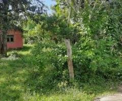 A land with 70 perches house for sale in Beliatta