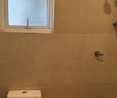 Furnished apartment for rent in Colombo 5