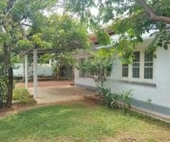 Single Story House For Rent Nugegoda Nawala