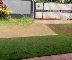 Single Storey House For Rent Piliyandala