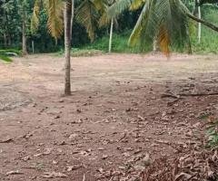 Bare  Land for Sale in Piliyandala