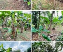 Land for Sale in  Padukka