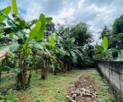 Land for Sale in  Padukka