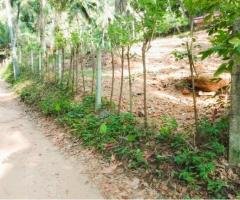 Land for Sale in Nittambuwa