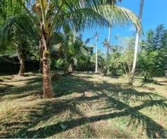 Land for Sale in Divulapitiya