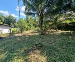 Land for Sale in Divulapitiya