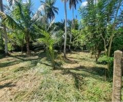 Land for Sale in Divulapitiya