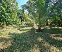 Land for Sale in Divulapitiya