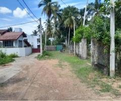 Bare Land for Sale in  Yakkala Gampaha