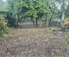 Bare Land for Sale in Ja ela