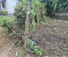 Bare Land for Sale in Ja ela