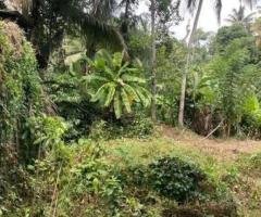 Land for Sale in Mawilmada Road, Kandy!