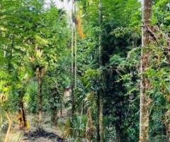 Land for Sale – Nugawela