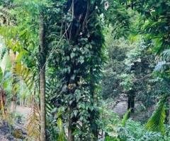 Land for Sale – Nugawela