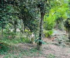 Land for Sale – Nugawela