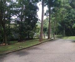 Luxury Fully Furnished Villa for Sale – Victoria Range, Digana (Kandy) - 12