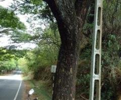 Land for Sale – Mailapitiya Main Road (Next to Victoria Lake)