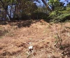 Land for Sale Kandy