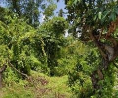 80 Perches  bare Land for Salle at Kaduruduwa- Panadura.