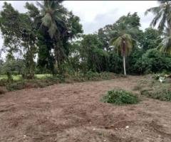 433 Perches Estate to be Sold at Ambanwita Gampaha.