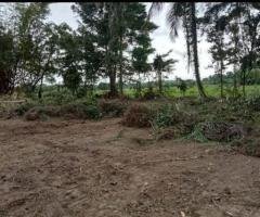 433 Perches Estate to be Sold at Ambanwita Gampaha.