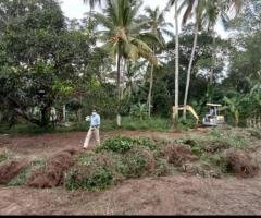 433 Perches Estate to be Sold at Ambanwita Gampaha.