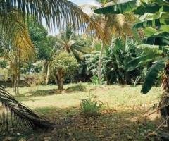 Land with Two story building Facing Bolgoda Lagoon to be sold in Moratuwa.