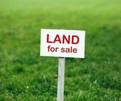 Land with Livable old house for Sale at Dehiwala.