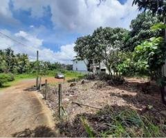 Land for Sale in Homagama Samanala Mw