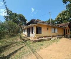 Beach View Hilltop Land for Sale in Tangalle – Prime Tourist Area 🏝️