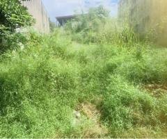 LAND FOR SALE PILIYANDALA
