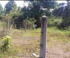Land for Sale in pannipitiya