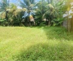 LAND FOR  SALE IN   PANNIPITIYA