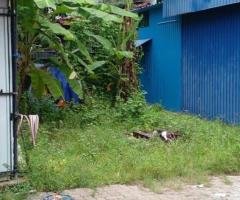 Land with House For Sale In Pepiliyana