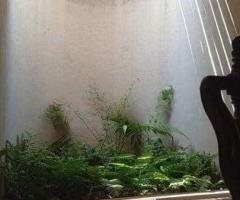 Luxury House For Sale In Nugegoda