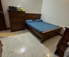 Furnished Apartment for Rent in Colombo 06